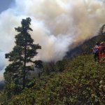 Incendio Forestal