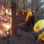 La táctica de talar áreas para que el fuego ya no tenga qué quemar es la que suele usarse en muchos incendios forestales. Foto La Hora / Conred.