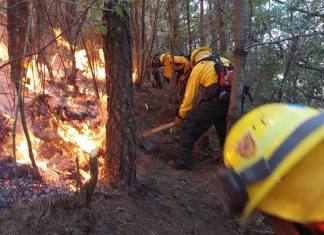 La táctica de talar áreas para que el fuego ya no tenga qué quemar es la que suele usarse en muchos incendios forestales. Foto La Hora / Conred.