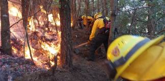 La táctica de talar áreas para que el fuego ya no tenga qué quemar es la que suele usarse en muchos incendios forestales. Foto La Hora / Conred.