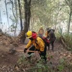 La Conred anunció que desde el mediodía de este 29 de febrero, se calcula que el incendio en el volcán de Agua está controlado en un 80%. Foto: Ejército de Guatemala