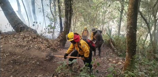 La Conred anunció que desde el mediodía de este 29 de febrero, se calcula que el incendio en el volcán de Agua está controlado en un 80%. Foto: Ejército de Guatemala