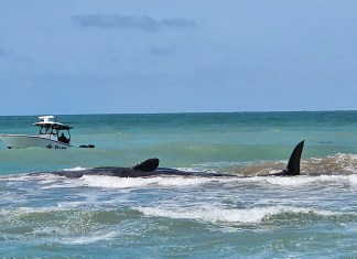 Florida