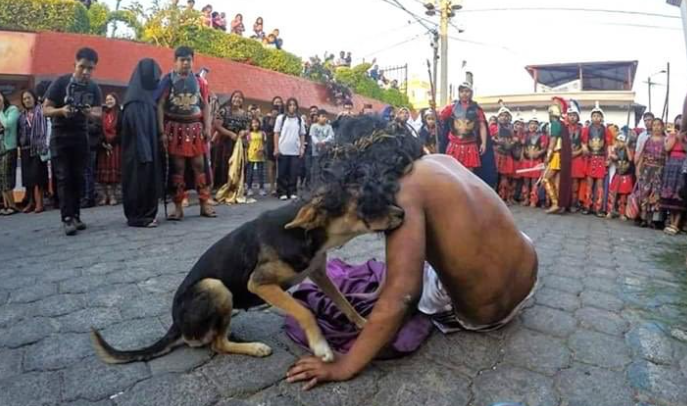 Un perro no abandonó a su amo, quien era la representación de Jesús, mientras era golpeado por los romanos en una dramatización. (Foto La Hora: de X de @DiloConPerritos)