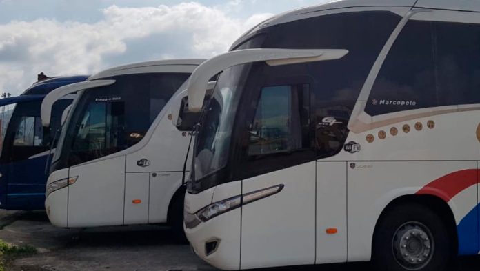 Buses se preparan para transportar a miles de guatemaltecos en el descanso de Semana Santa. Foto: La Hora