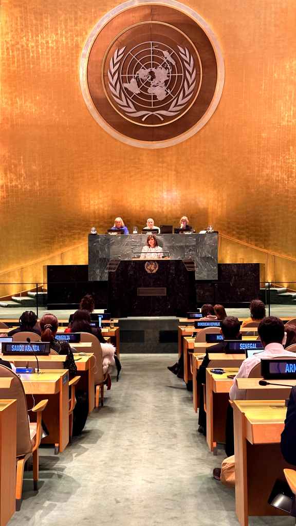 "Participación de la Vicepresidenta Karin Herrera en el Sexagésimo Octavo Período de Sesiones de la Comisión de la Condición Jurídica y Social de la Mujer (CSW68)"