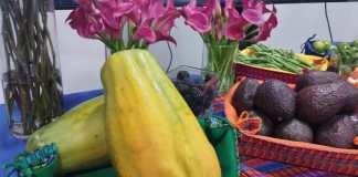 Más países muestran interés en consumir frutas y vegetales de Guatemala. (Foto: Agexport)