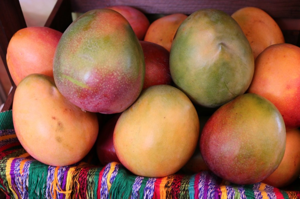 Los mangos, como la variedad Tommy, son vendidos en el exterior. (Foto: Agexport)