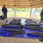 Tres personas abordo de una embarcación viajaban con varios ejemplares de peces vela. (Foto: Ejército de Guatemala)