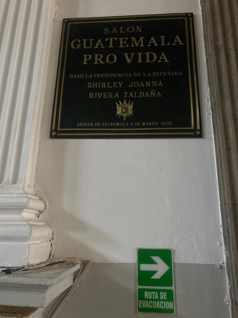 La diputada Shirley Rivera de VAMOS colocó tres plaquetas en el Congreso previo a iniciar la campaña electoral en 2023. Foto: José Orozco