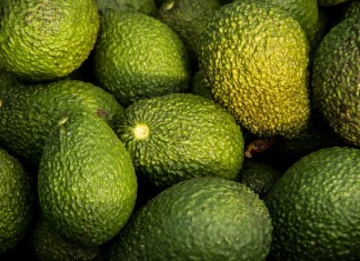 Los aguacates conocidos como Hass podrían ser vendidos en Estados Unidos. (Foto La Hora: sandid en Pixabay)