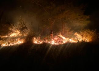 "Conred coordinó acciones de respuesta a incendio forestal reportado camino a San Pedro Sacatepéquez en el municipio de Santo Domingo Xenacoj, Sacatepéquez." FOTO: Fernando López, Delegado Departamental de la CONRED.