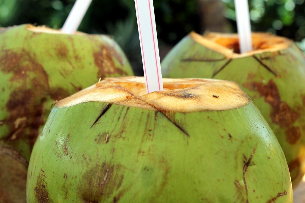Una de las bebidas recomendadas es el agua de coco. (Foto La Hora: Adriano Gadini en Pixabay)