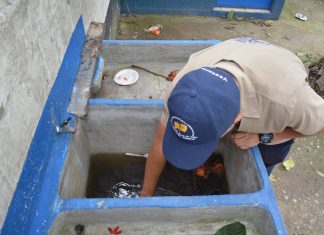 Personal del Ministerio de Salud realiza verificaciones para eliminar criaderos de zancudos. Foto: Ministerio de Salud