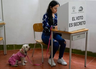 Un votante marca preguntas en la boleta de un referéndum propuesto por el presidente Daniel Noboa para respaldar nuevas medidas de seguridad destinadas a acabar con las bandas criminales que alimentan la escalada de violencia en Quito, Ecuador, el domingo 21 de abril de 2024. (Foto AP/Dolores Ochoa)