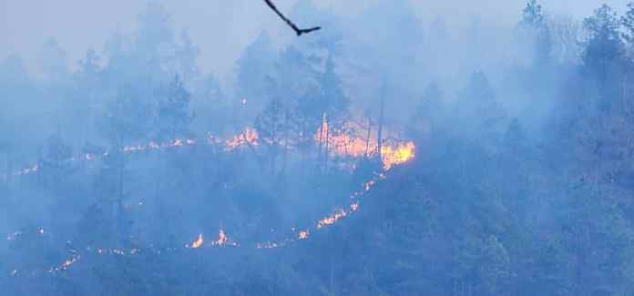 Otro de los incendios que investiga el MP es en el Biotopo de El Quetzal. (Foto: Conred)