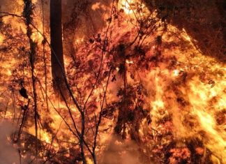 La Coordinadora Nacional para la Reducción de Desastres (Conred) informa que 20 mil 710 hectáreas afectadas por incendios. Foto: Conred