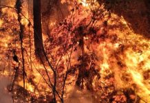 La Coordinadora Nacional para la Reducción de Desastres (Conred) informa que 20 mil 710 hectáreas afectadas por incendios. Foto: Conred