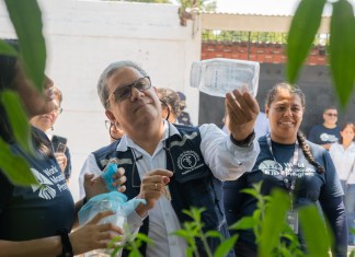 "El salvador ha implementado un programa de una bacteria que se llama Wolbachia y Guatemala se va a iniciar un plan piloto con esta estrategia"