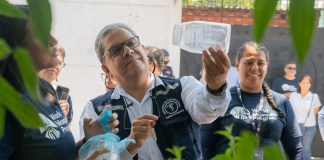 "El salvador ha implementado un programa de una bacteria que se llama Wolbachia y Guatemala se va a iniciar un plan piloto con esta estrategia"