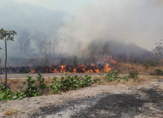 "Incendio forestal registrado en la finca Estanzuela del municipio de San José del Golfo".