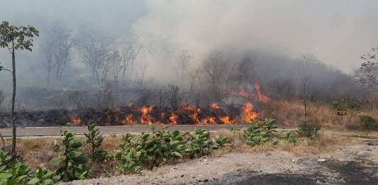 "Incendio forestal registrado en la finca Estanzuela del municipio de San José del Golfo".