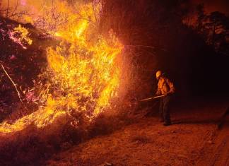 Los fuegos de la presente temporada han arrasado 7 mil 136 hectáreas hasta este 9 de abril. Foto: Conred