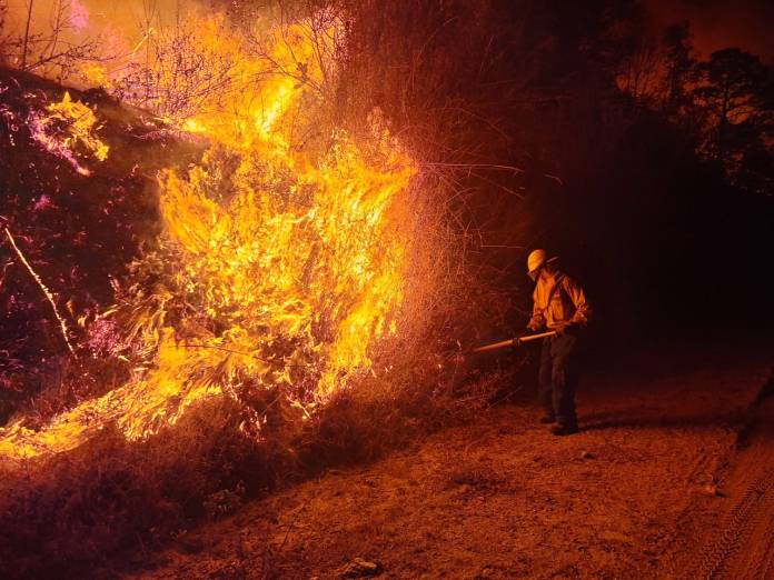 Los fuegos de la presente temporada han arrasado 7 mil 136 hectáreas hasta este 9 de abril. Foto: Conred