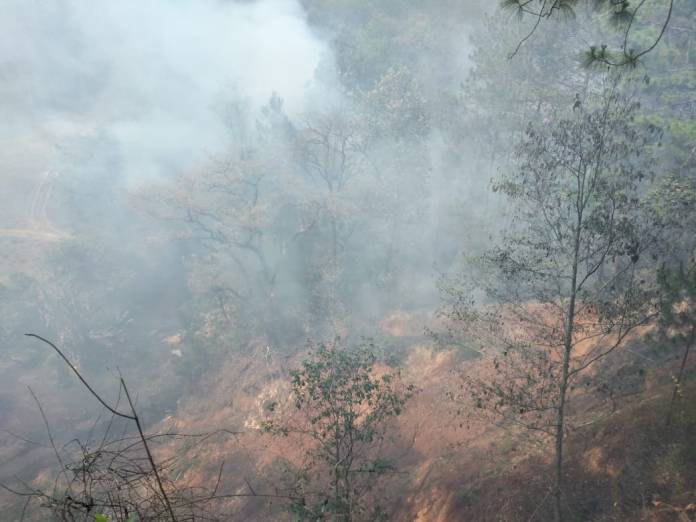 Los cuerpos de socorro del Ejército también se han sumado al combate de los varios incendios en el país. Foto: Conred