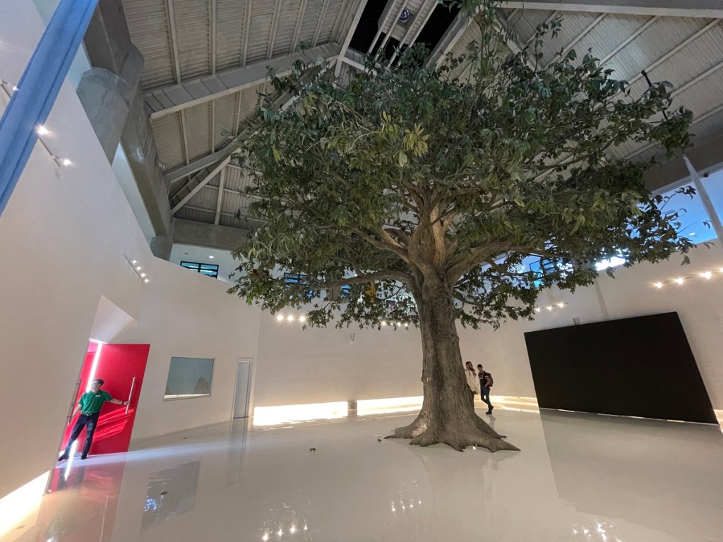 Este nuevo espacio está dedicado al árbol nacional, La Ceiba. (Foto La Hora: José Orozco)