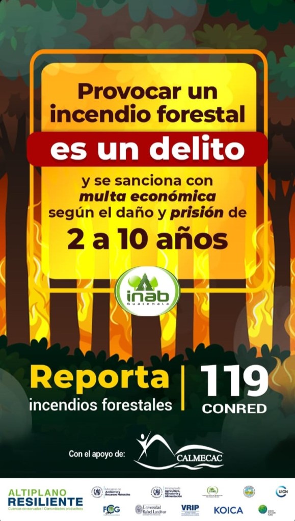 El Instituto advierte que iniciar un incendio forestal es un delito. 