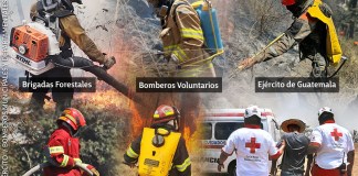 Varias instituciones participan en el combate de incendios que ocurren en el territorio nacional.
