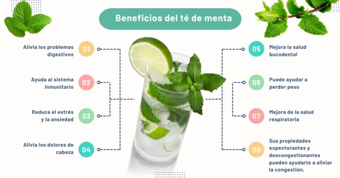 Beneficios del té de menta. Diseño: Roberto Altán/La Hora