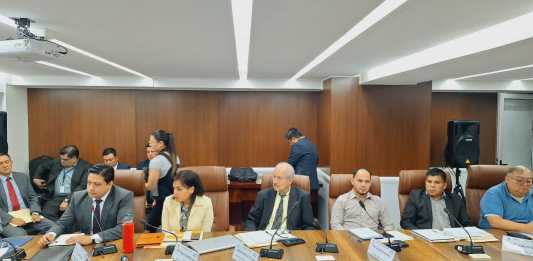 La viceministra de Comunicaciones, Paola Constantino, informó de la denuncia contra el exministro Javier Maldonado. Foto: La Hora