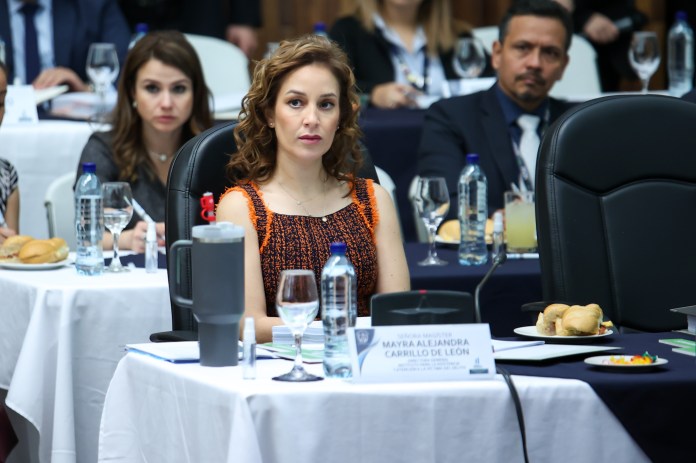 La exdiputada Alejandra Carrillo dirigiÃ³ la instituciÃ³n desde 2020 a la fecha. Foto / Instituto de la VÃ­ctima.