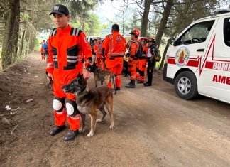 Los rescatistas cuentan con perros especializados en búsqueda de personas. (Foto: Bomberos Voluntarios)