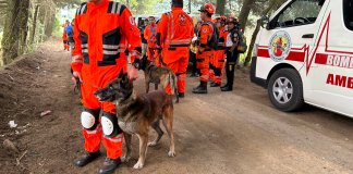 Los rescatistas cuentan con perros especializados en búsqueda de personas. (Foto: Bomberos Voluntarios)