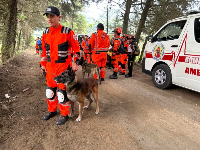 Los rescatistas cuentan con perros especializados en búsqueda de personas. (Foto: Bomberos Voluntarios)