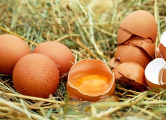 La cascará de huevo aporta calcio al cuerpo humano. (Foto La Hora: Couleur en Pixabay)