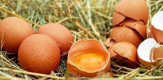 La cascará de huevo aporta calcio al cuerpo humano. (Foto La Hora: Couleur en Pixabay)