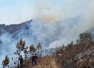 Las operaciones aéreas y terrestres para el control y liquidación del incendio forestal que se registra en aldea Unión Barrios, Salamá. Las descargas aéreas que se han realizado sobre el foco activo en el Biotopo del Quetzal son por el apoyo del @PNUDGuatemala. (Foto La Hora: Conred)