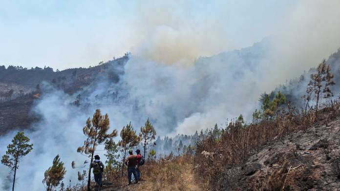 Las operaciones aéreas y terrestres para el control y liquidación del incendio forestal que se registra en aldea Unión Barrios, Salamá. Las descargas aéreas que se han realizado sobre el foco activo en el Biotopo del Quetzal son por el apoyo del @PNUDGuatemala. (Foto La Hora: Conred)