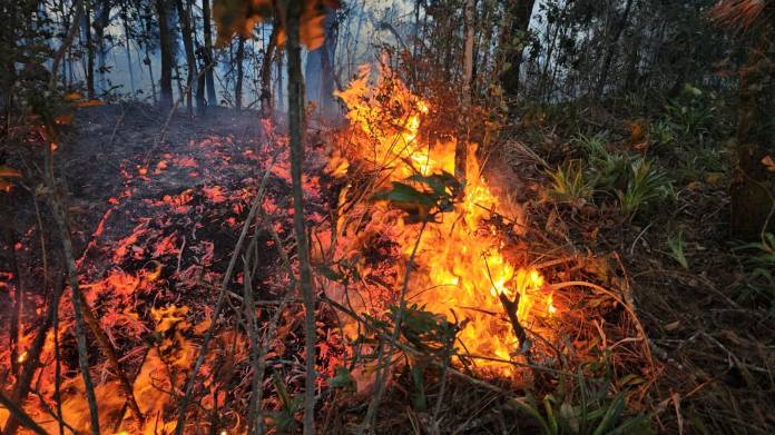 Actualmente el país se encuentra en la temporada de incendios forestales. (Foto: Conred)