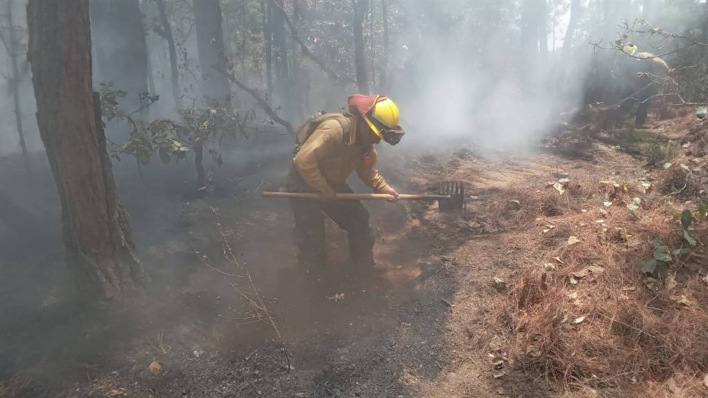 Según la Conred este ha sido el año con más incendios forestales. En su extinción han participado cuerpos de socorro y pobladores de las áreas afectadas.