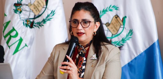 La ministra María José Iturbide señaló que permitió a su hija el uso de un vehículo y custodios del Ministerio de Ambiente, debido a un incindente de seguridad. Foto: MARN
