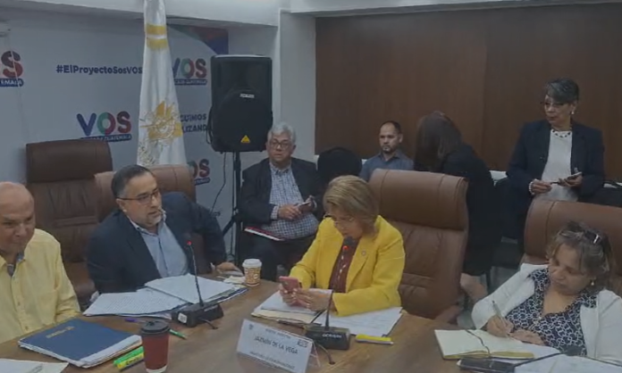 La Ministra de Comunicaciones, Jazmín de la Vega, informó sobre la denuncia.