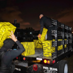 Este año han aumentado las incautaciones de cocaína, según el Ministerio de Gobernación. Foto /MINGOB.