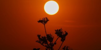 Sale el sol en medio de altas temperaturas en Ciudad de México, el 23 de mayo de 2024. (Foto AP/Marco Ugarte)