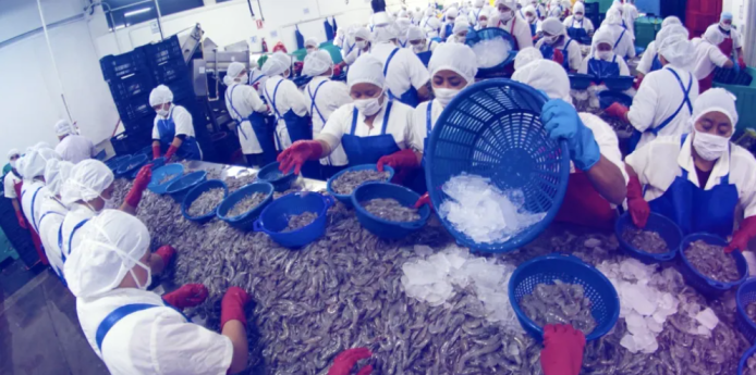 Con la reanudación del intercambio comercial con México, se aseguran miles de empleo en Guatemala. (Foto: Agexport)