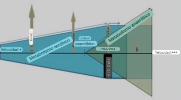 PMA = Potencia Aeróbica Máxima, VMA = Velocidad Aeróbica Máxima, VO2 max = consumo máximo de oxígeno.